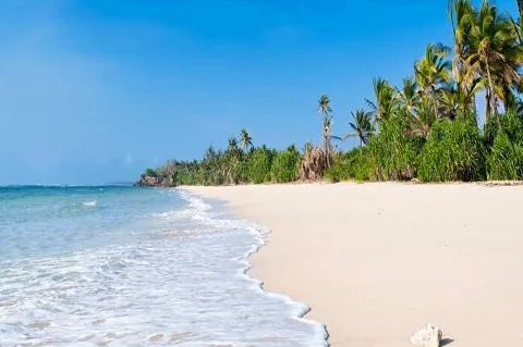 Playa tropical de arena blanca desierta, con olas suaves que lamen la orilla y una hilera de palmeras bajo un cielo azul intenso