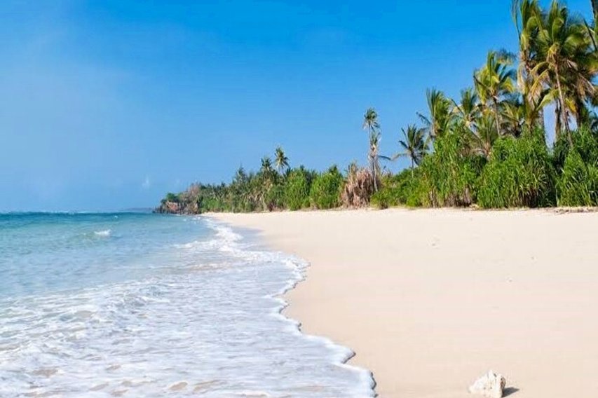 Playa tropical de arena blanca desierta, con olas suaves que lamen la orilla y una hilera de palmeras bajo un cielo azul intenso