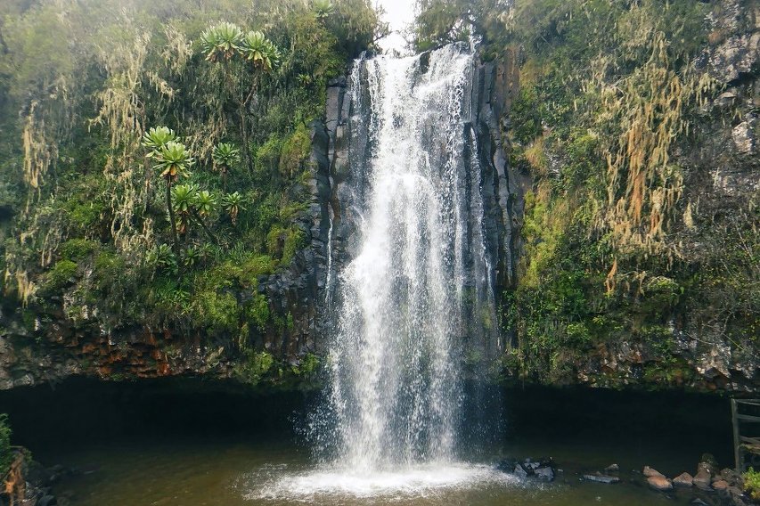 Una alta cascada que desemboca en una poza rodeada de acantilados cubiertos de musgo y de vegetación exuberante y colgante