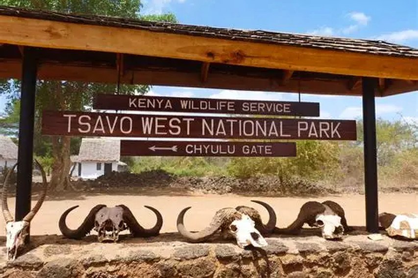 木制“Tsavo West National Park”牌匾，置于一堵装饰有颅骨和角的石墙上