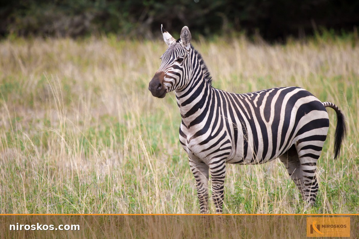 De mooiste bezienswaardigheden rond Pischelsdorf am Kulm - Top 20 | Komoot, image size:1200x800