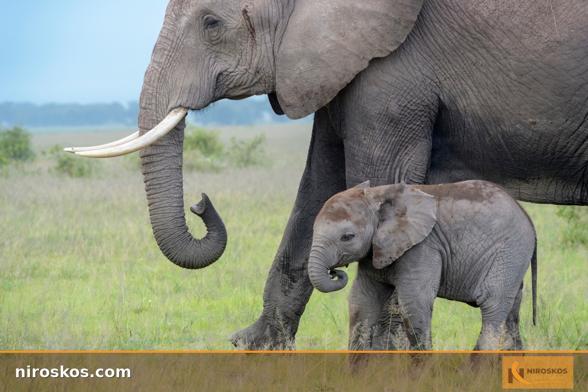 orangetheworldnl\, image size:1200x800