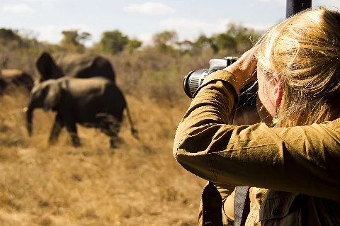 Un fotógrafo capturando la belleza de la fauna en el Parque Nacional Amboseli durante un safari.
