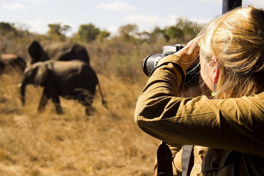 Un fotógrafo capturando la belleza de la fauna en el Parque Nacional Amboseli durante un safari.