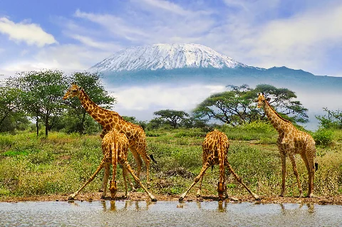 Una puesta de sol hipnótica sobre el Parque Nacional Amboseli, con el Kilimanjaro en la distancia.